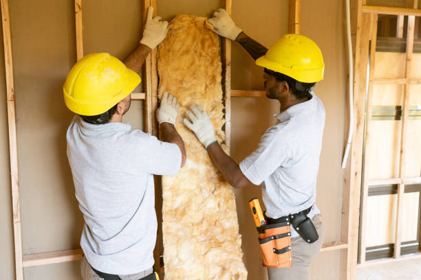 Types of Insulation We Offer in Lockney, TX